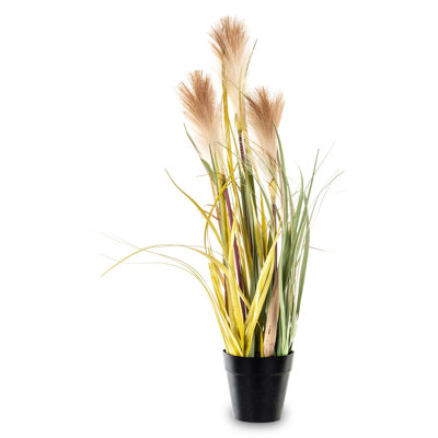 56 cm H Faux Pampas Grass Plant in Earthenware Pot