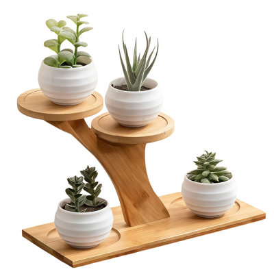 Support à fleurs multi-niveaux pour plantes de bureau - Étagère à 3 niveaux pour plantes d'intérieur | Support à fleurs en bois et support de plante pour les appuis de fenêtre