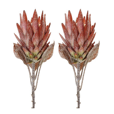 Tige de fleur Protea