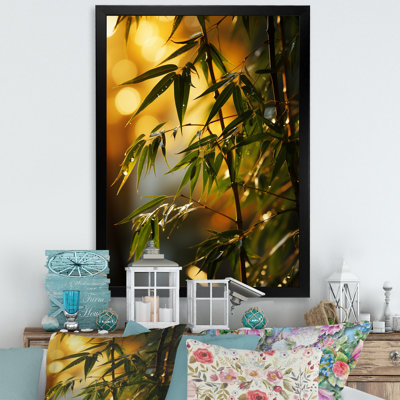 " Bamboo Sunset Photography I "