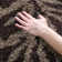 Chanhassen Shag Performance Floral Rug