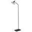 Himanshee 136cm Black Task Floor Lamp