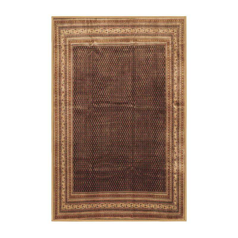 Margaretmary Performance Oriental Indoor Rug, Rectangle 5' x 7'
