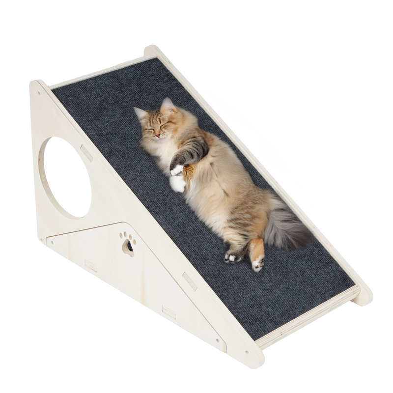 Cat Scratching Post