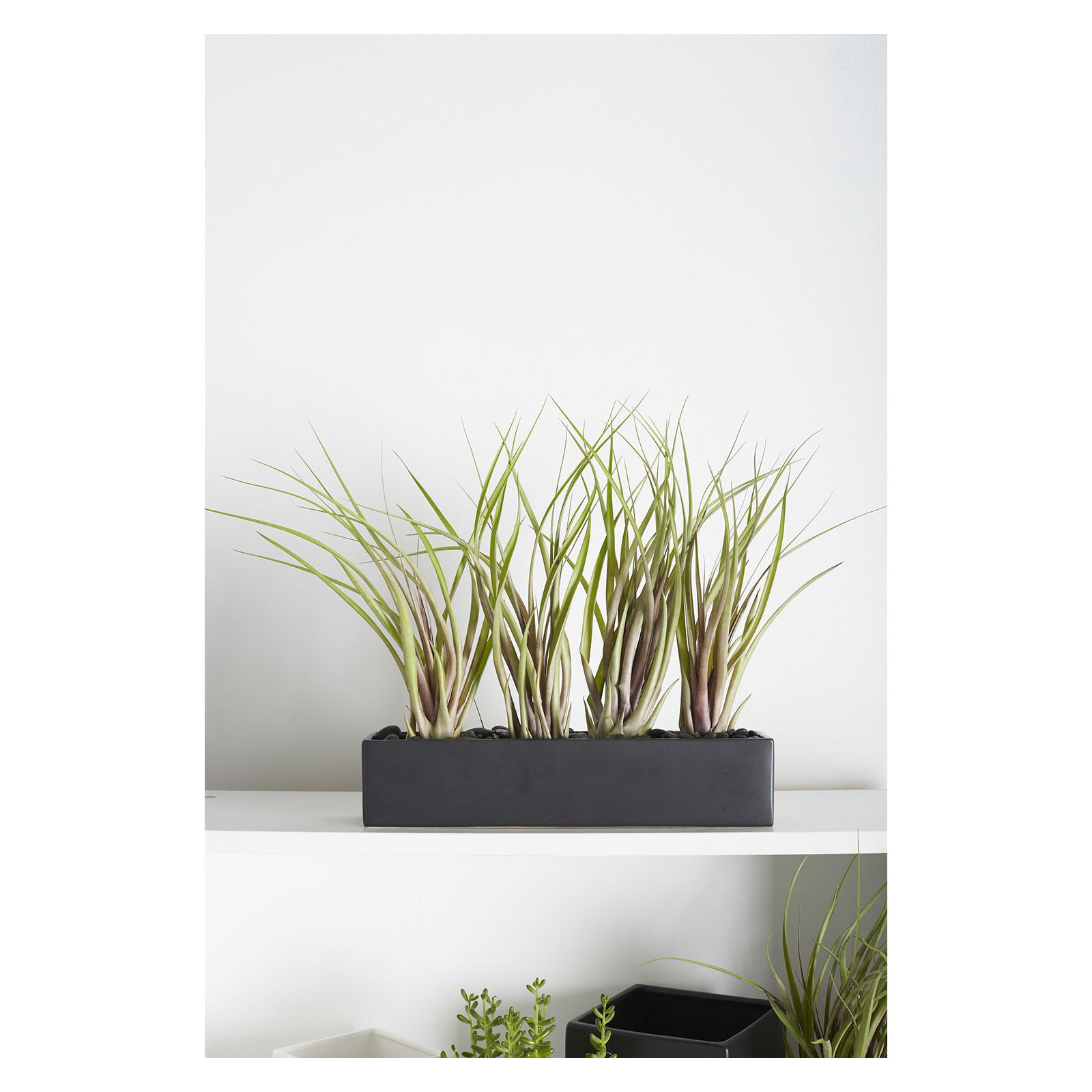 Sula Ceramic Pot Planter, Matte Black