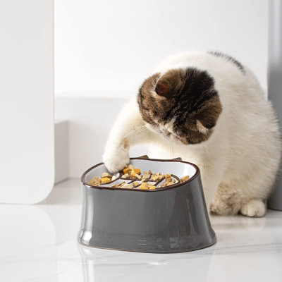 Slow Feeder Cat Bowl  Inches Elevated Cat Food Bowl