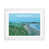 White Framed selected