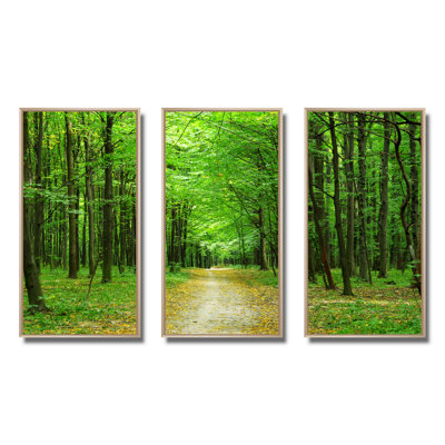 «Pathway In Green Forest», ensemble d'art mural sur toile encadré paysage