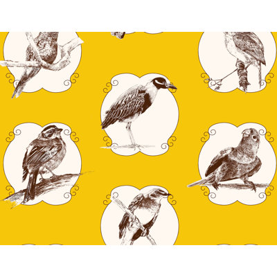 Papier peint oiseaux Makaya d'Haïti