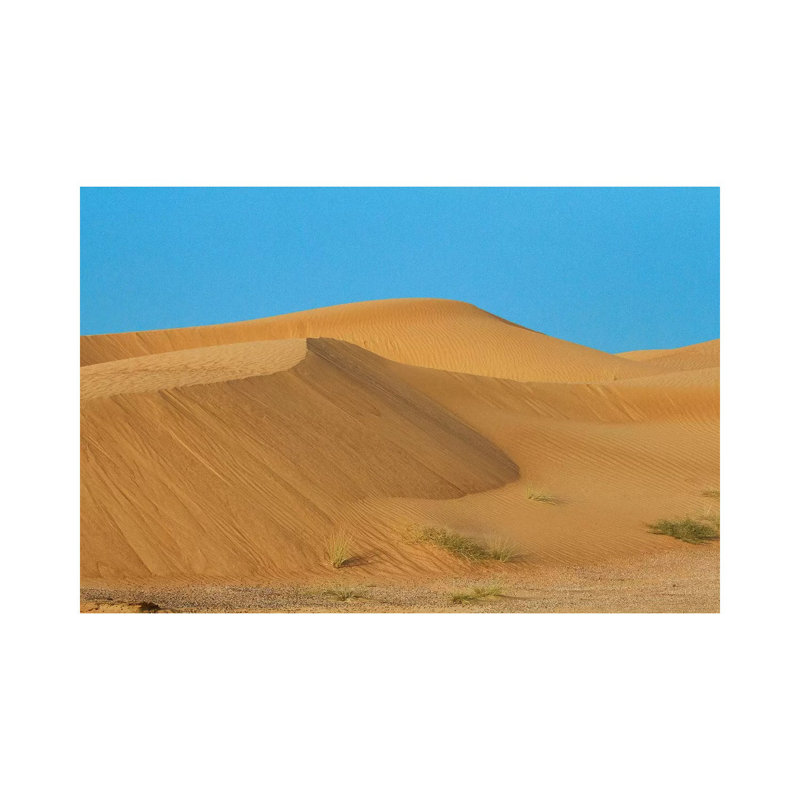 Desert With Sand. Abu Dhabi, United Arab Emirates. by Tom Norring - Gallery-Wrapped Canvas Giclée on Canvas, Canvas