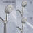 Handheld Shower Head 1.8 GPM GPM-88320302