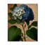 Jeannelle - Horloge murale florale-897073452