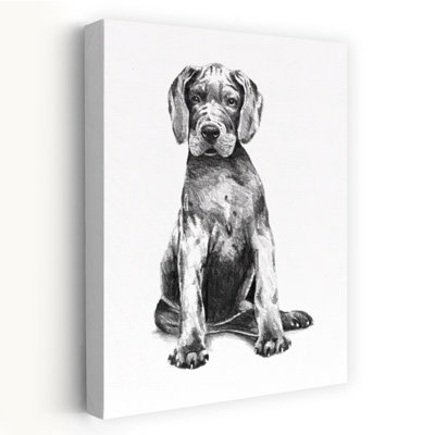 Adorable Great Dane Puppy Contemporary Dog Portrait Wall Art Print