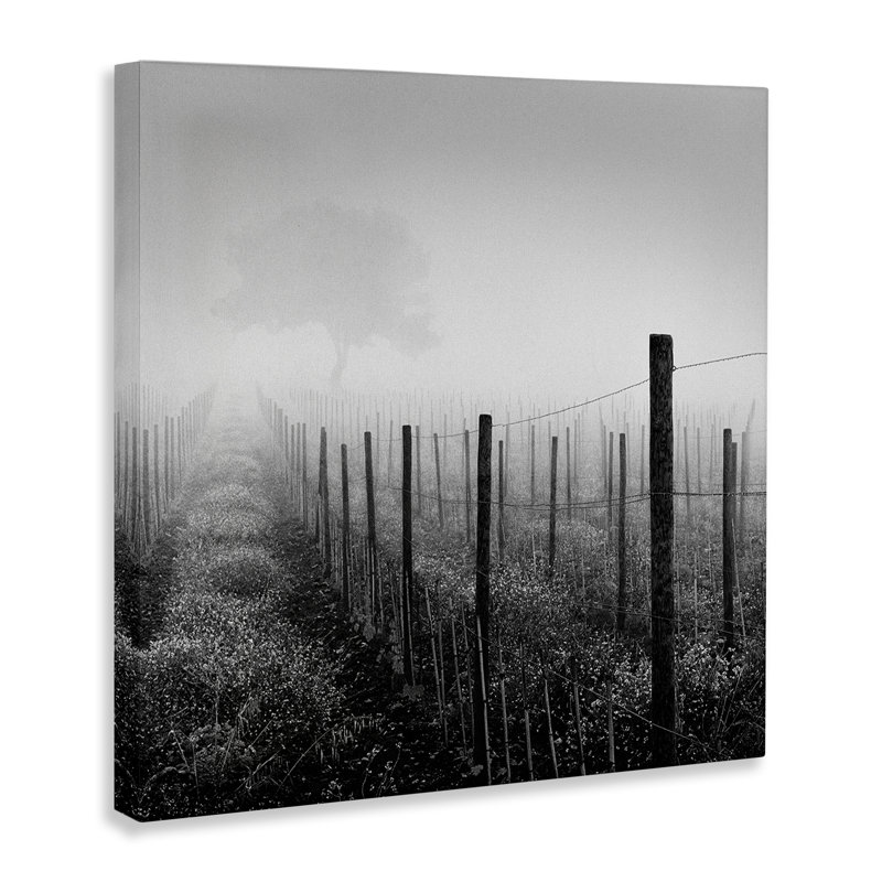 «Vineyard at Dawn» par Chip Forelli, H 36 po x l 36 po