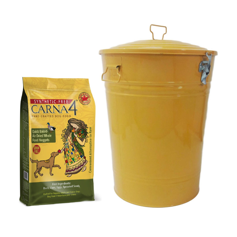 Bac de recyclage en acier émaillé galvanisé, H 22 po x l 15 po x P 15 po, Safran