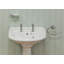 1919 Corydex Soap Dish