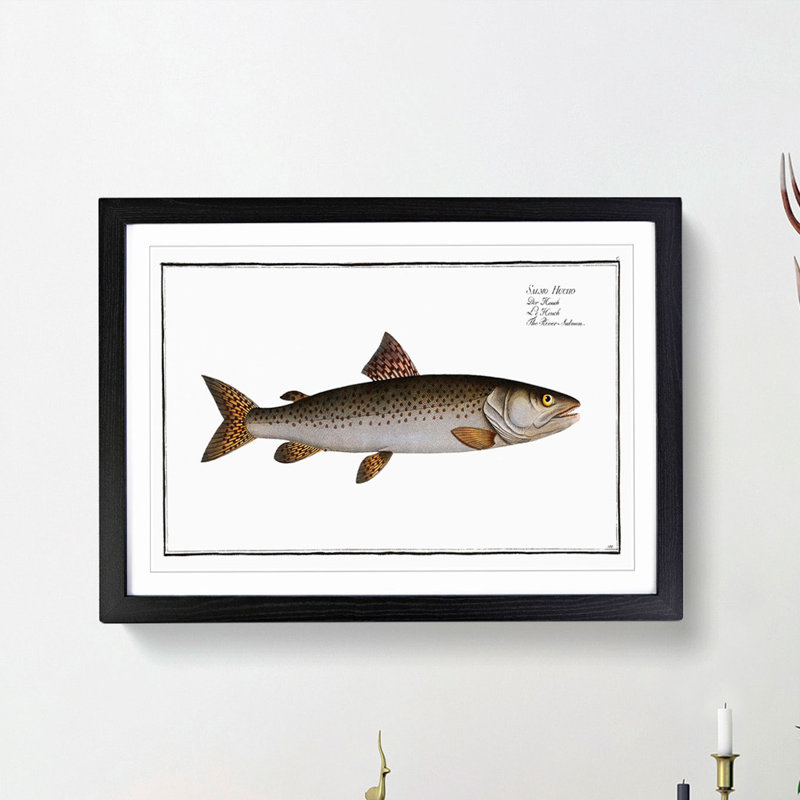 River-Salmon Fish by M.E. Bloch - Picture Frame Painting Print, 48cm H x 65cm W x 2cm D, Black Framed