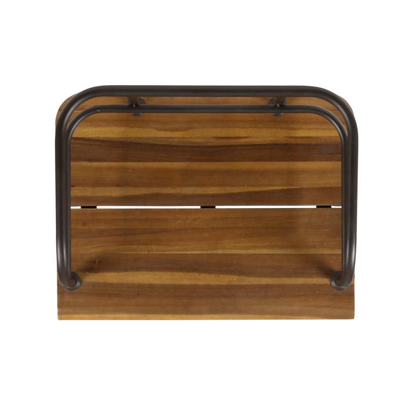 Ensemble de 2 chaises d'appoint en bois et métal Zion