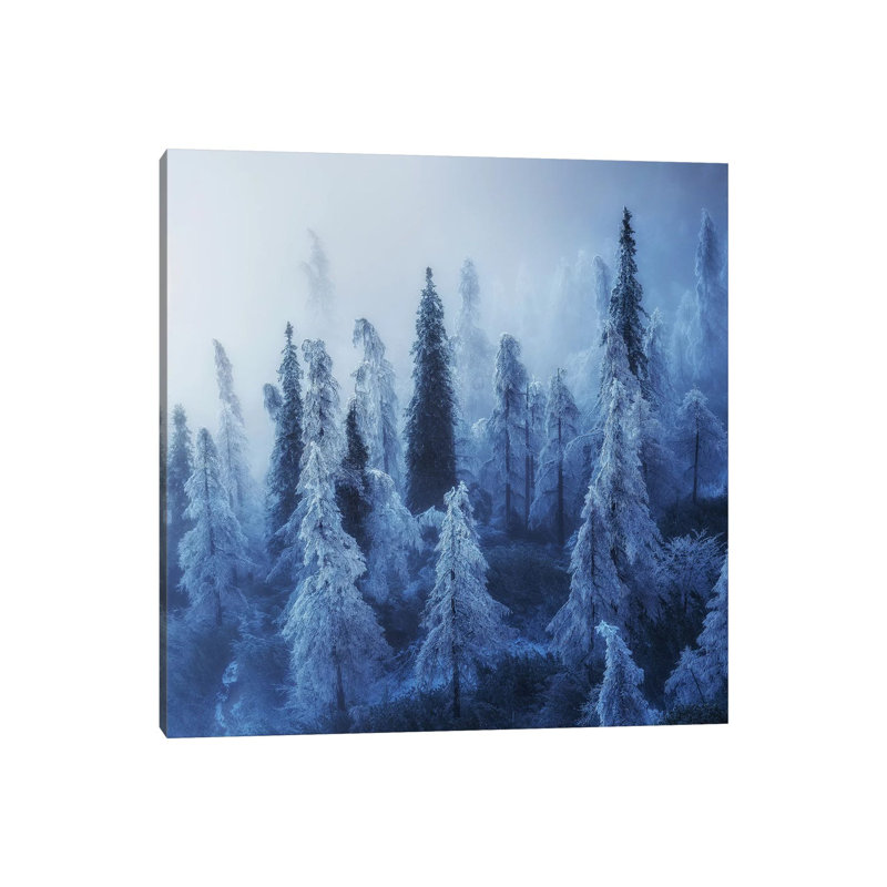 Enchanted Forest - Wrapped Canvas Print, 45.72 cm H x 45.72 cm W x 1.91 cm D
