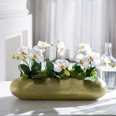 14,5 po PHALAENOPSIS DANS UN Vase en aluminium