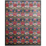 Oriental Area Rug