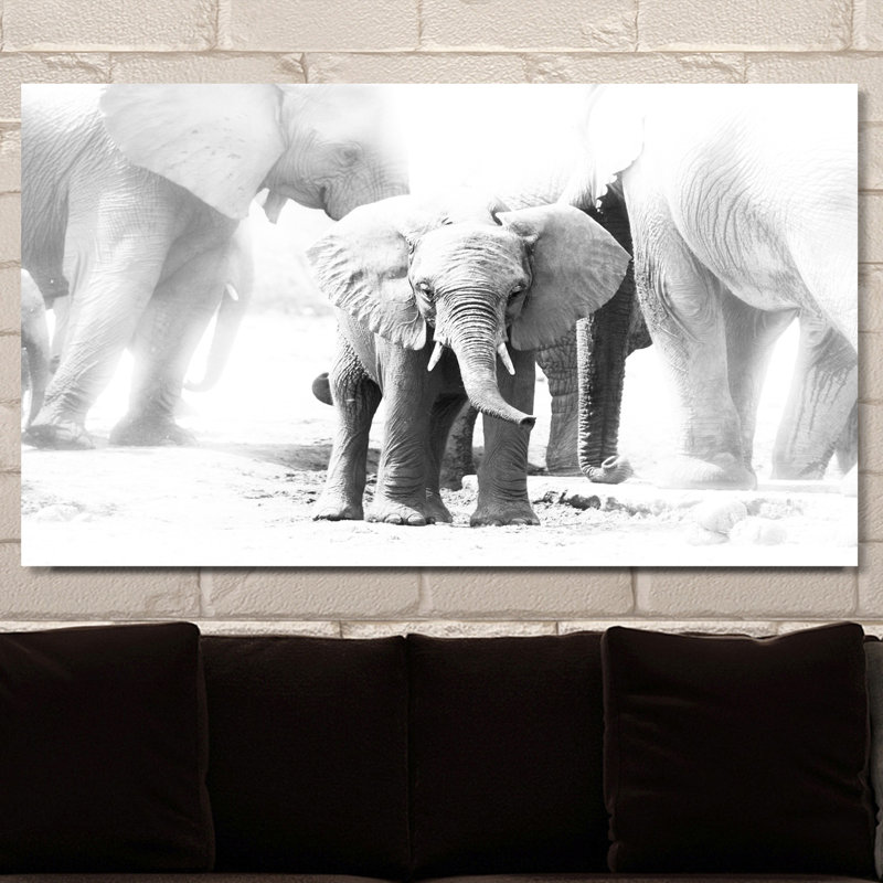 « baby éléphant », impression sur toile tendue, H 24 po x l 40 po x P 1 po