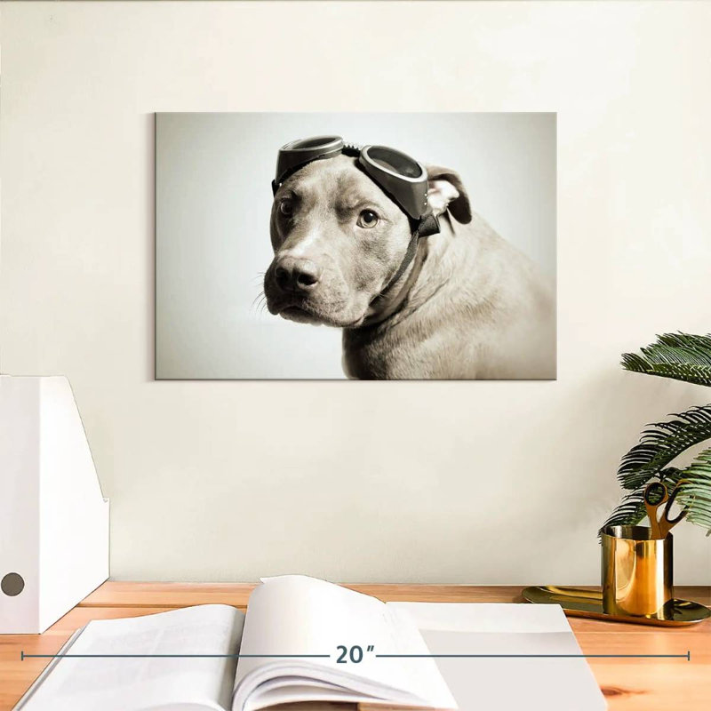 Brampt Aviator Pit Bull, 8" H x 12" W