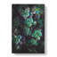 Green Succulent In Bloom - Wrapped Canvas Painting-56658431