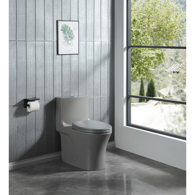 1.1/1.60 GPF Dual-Flush One Piece Toilet, Water-Saving Elongated Comfort Height Floor Mounted, Soft Closing Seat, 1000 Gram Map Flushing Score Toilet