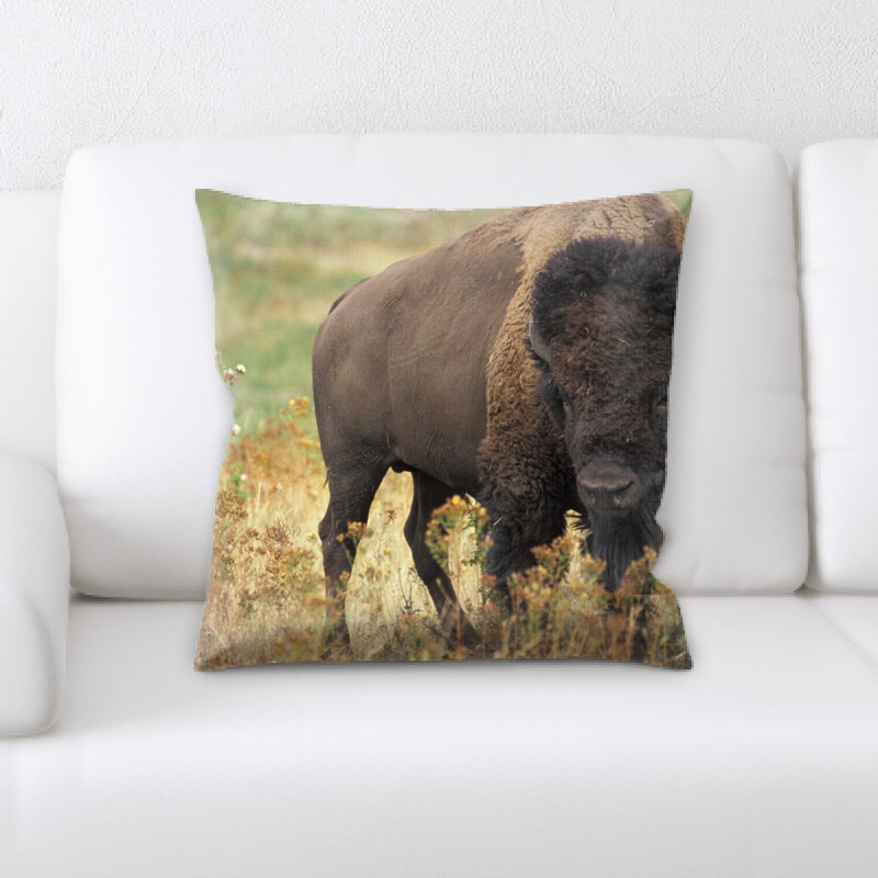 Coussin bison