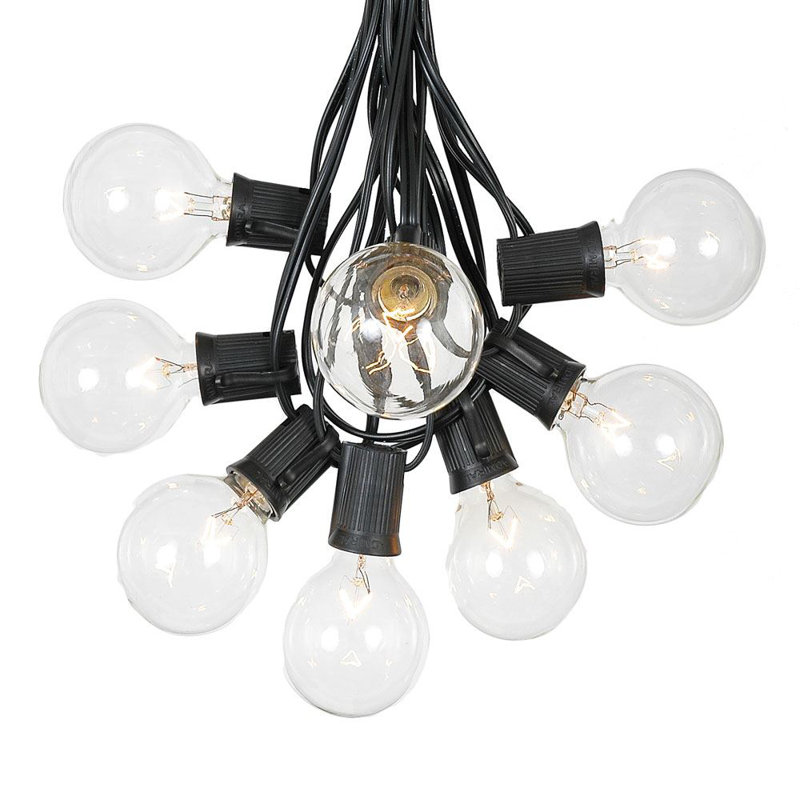 Outdoor 100 - Bulb 100'' Plug-in Globe String Light, Clear, Black
