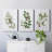 " Winter Botanical I " 3 Piece Art Color Photography Print-652125748