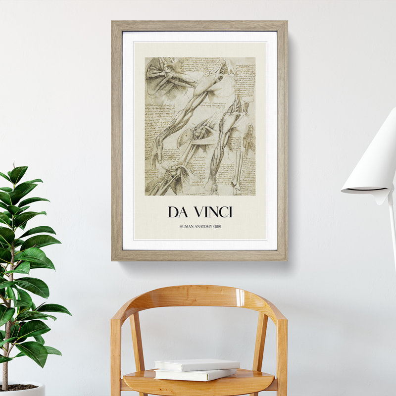 Human Anatomy Vol.1 by Leonardo Da Vinci - Picture Frame Drawing, 65cm H x 48cm W x 2cm D, Oak Framed