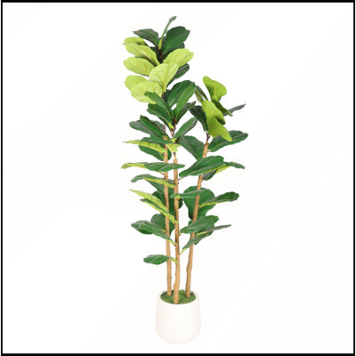 Figuier lyre artificiel de 1,6 m avec pot blanc décoratif, plante d'intérieur artificielle réaliste pour la décoration de la maison, du bureau, du salon ou d'un coin, 1 pièce/ensemble