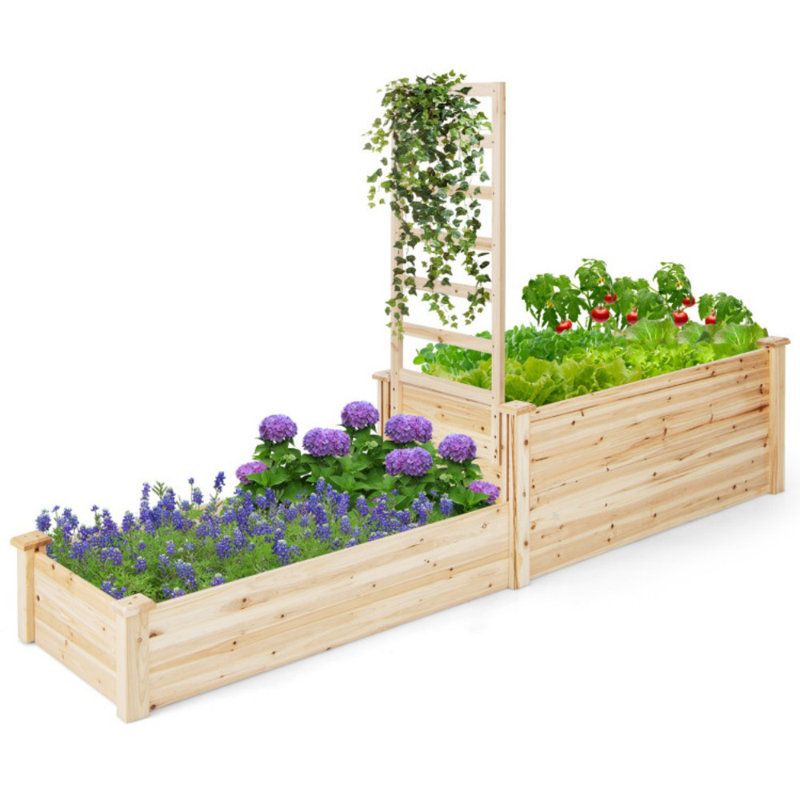 Raised Garden Bed With Trellis