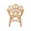 Tooleville Rattan Peacock Chair Natural FLORENTINE II