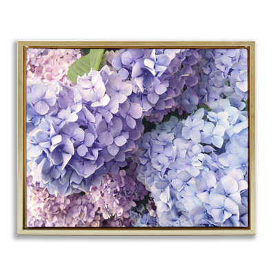 Pastel Hydrangea Flower Petals