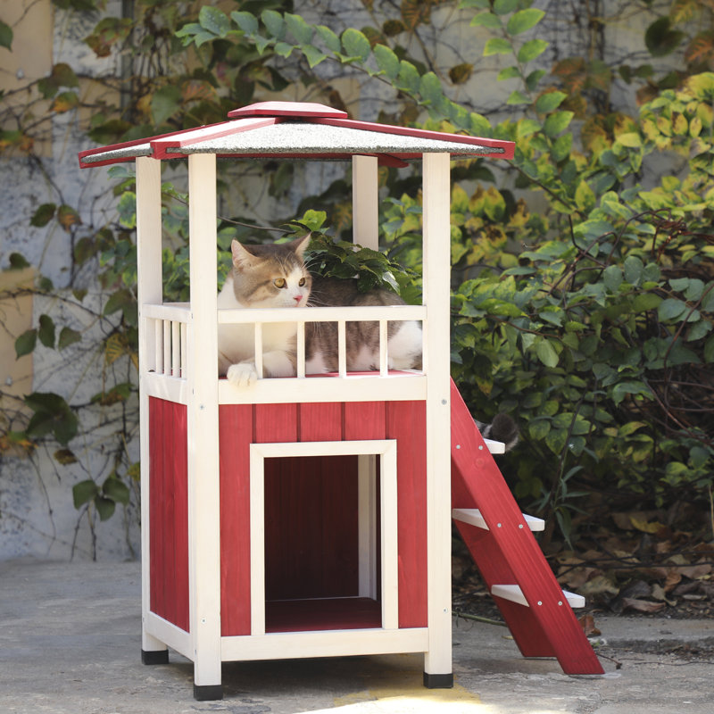 Chootu Cat House