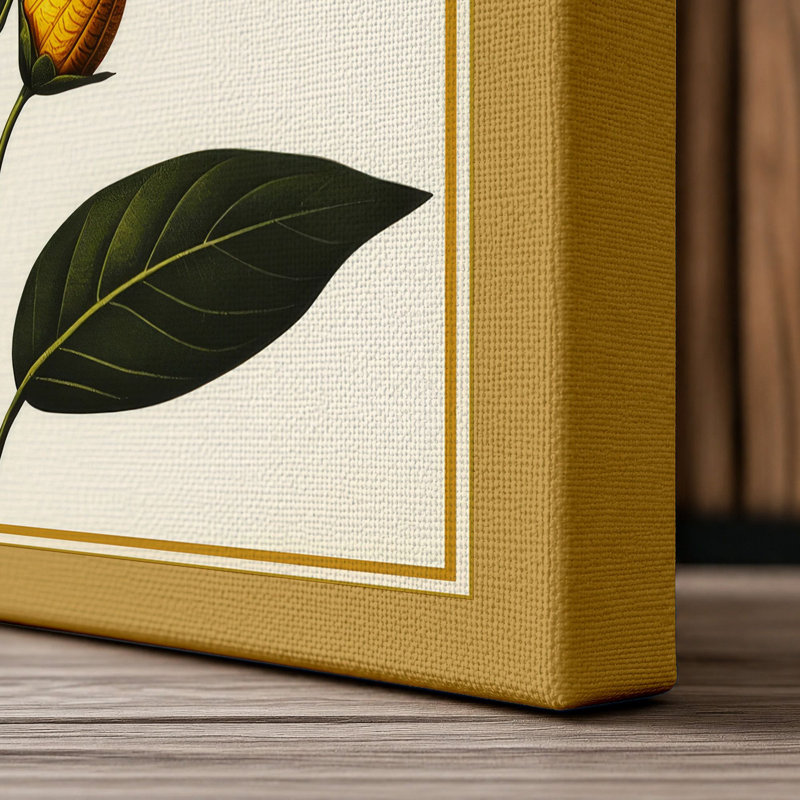 Single Sunflower Study Botanical - Wrapped Canvas, 18x12 - 45.7 x 30.5 cm, Ochre Border