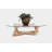 Focal Glass Top Single Coffee Table-97700360-34960720