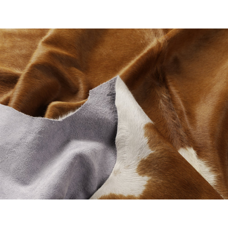 Animal Print 200cm X 230cm Area Rug