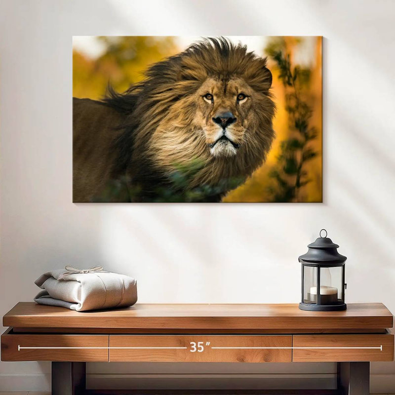 Brampt Lion Head Splendor, 16" H x 24" W
