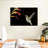 Hummingbird On Black-107706833