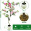 152cm Plant