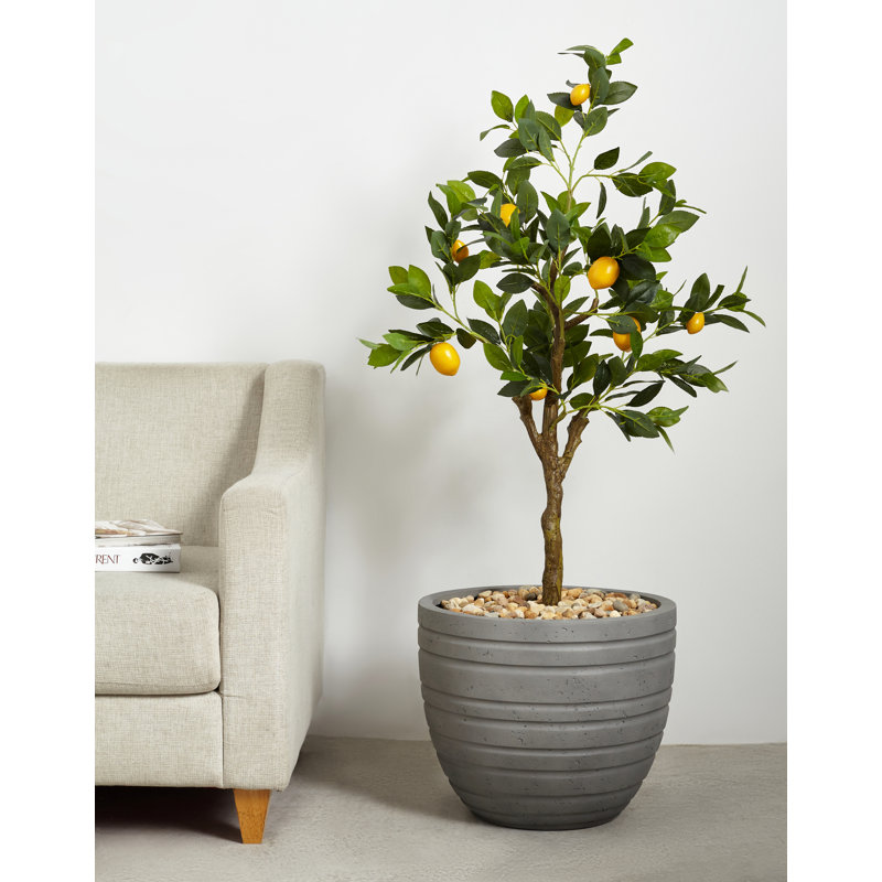 Jardin vertical en résine, Gris, H 13 po x l 15 po x P 15 po