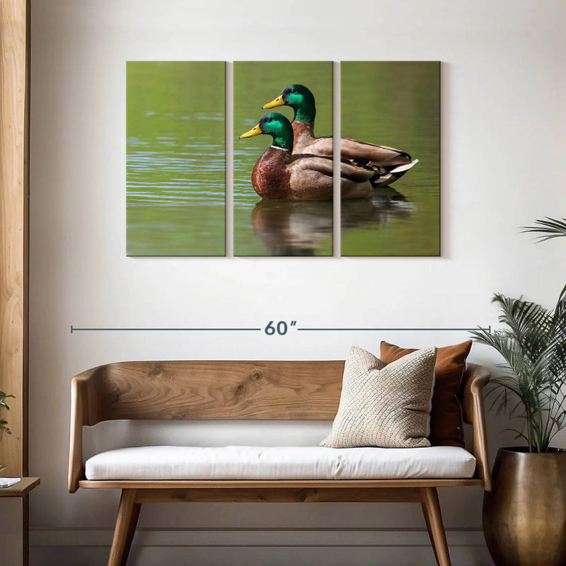 Coupe de canards colvert, H 28 po x l 45 po