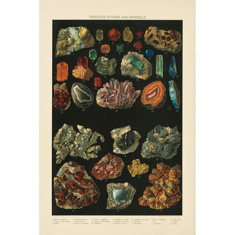 Precious Stones III by Wild Apple Portfolio - Wrapped Canvas Print, 76cm H x 51cm W