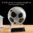 Glass Paper Weight