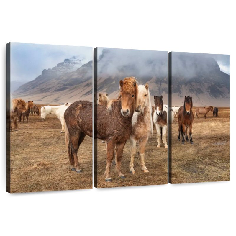 Brampt, chevaux incroyables de l'Islande, H 24 po x l 38 po