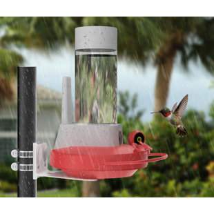 NETVUE Birdfy Hummingbird Feeder with 2 Cameras Solar Powered - Dual Smart Cams, 2K HD Wireless for 2 Angels Close-up Bird Watching Outdoor, Instant Notifications (20Oz) (Hum Duo AI Solar)